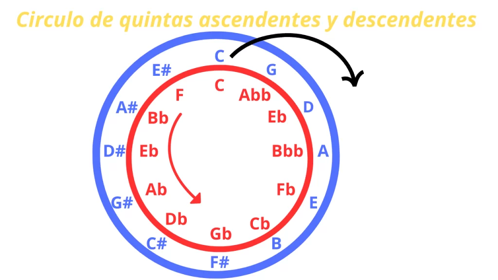 Círculo de Quintas ascendentes y descendentes. Círculo azul (quintas ascendentes): C → G → D → A → E → B → F# → C# → G# → D# → A# → E#. Círculo rojo (quintas descendentes): C → F → Bb → Eb → Ab → Db → Gb → Cb → Fb → Bbb → Ebb → Abb.